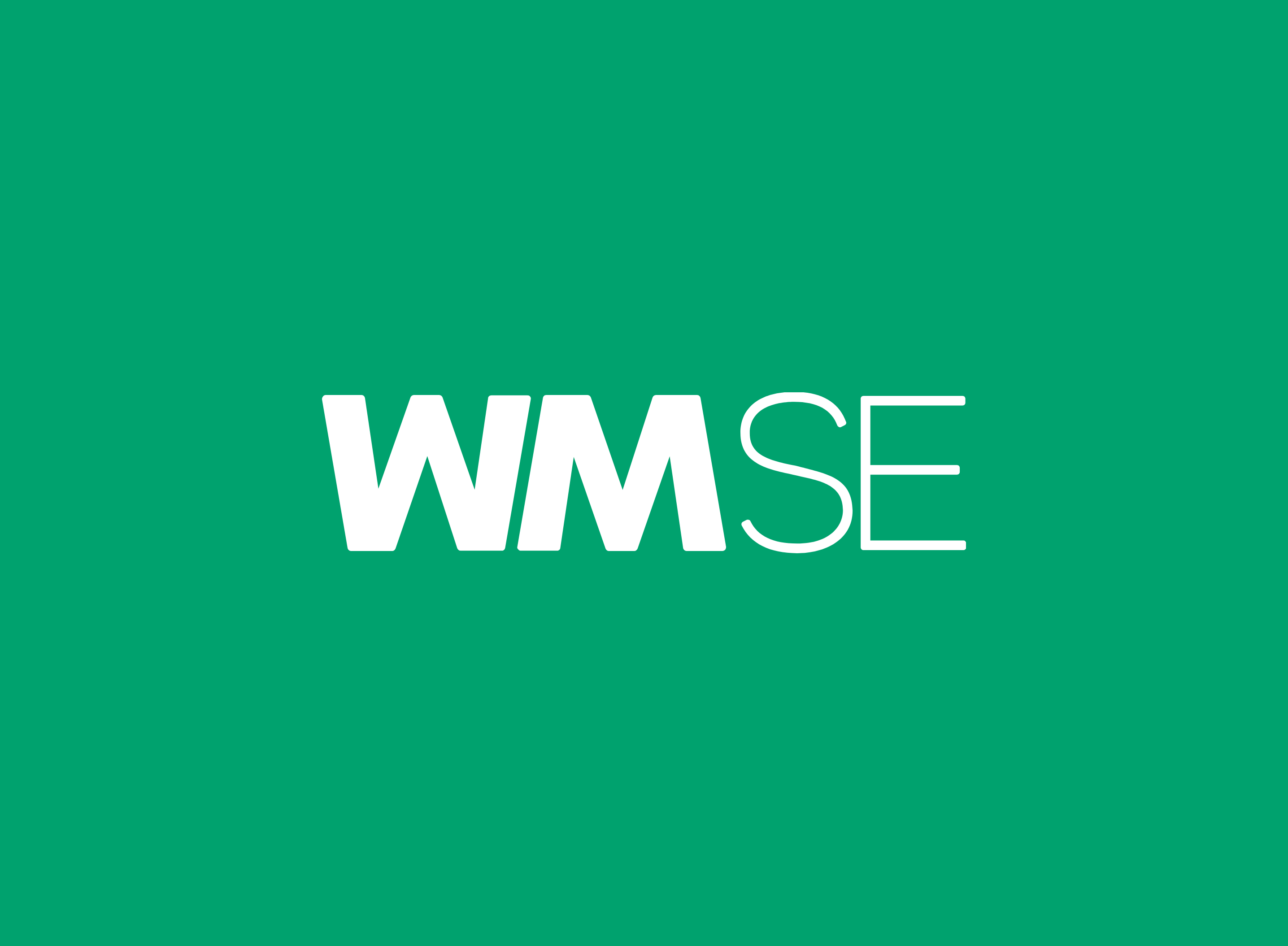 WM SE